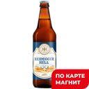 Крафт Пиво HEIDEGGER HELL светлое фильтрованное 4,7%, 0,5л