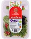 Салатный ростковый микс Vitamincus №1, 100 г