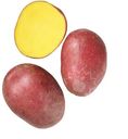 Картофель красный мытый