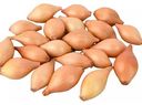 Лук-севок луковицы Поиск Инвест Стурон 10/21, 0,5 кг
