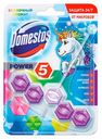 Блок для очищения унитаза Domestos Power 5 Сказочный аромат, 55 г