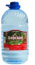 Вода минеральная «Борская» негазированная лечебно-столовая, 5 л