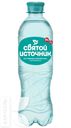 Вода СВЯТОЙ ИСТОЧНИК Активные минералы питьевая газированная 0,5л