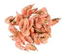 Креветка северная 500г