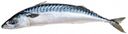 Скумбрия 300-500 Ultra Fish (0,8-1,2 кг), 1 упаковка ~ 1 кг