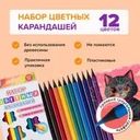 Набор цветных карандашей, Kid`s Fantasy, 12 шт., в ассортименте