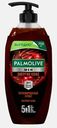 Гель для душа мужской Энергия кофе Palmolive Men 750мл