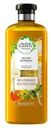 Шампунь Herbal Essences «Масло моринги», 400 мл