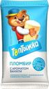 Пломбир Топтыжка с ароматом ванили в вафельном стакане 12% БЗМЖ 70г