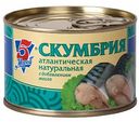 Скумбрия атлантическая натуральная 5 Морей с добавлением масла, 250 г