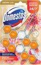 Таулетный блок DOMESTOS® POWER 5 Экзотический букет, 50гx2