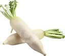 Редис Дайкон
