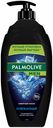 Гель для душа Palmolive Men Северный океан 3 в 1 освежающий с морскими минералами мужской 750 мл