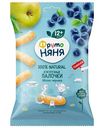 Кукурузные палочки ФрутоНяня Яблоко, черника, с 12 месяцев, 20 г