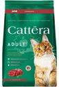Корм сухой Cattera с говядиной полнорационный для взрослых кошек 300г