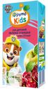 Сок ФРУТОKIDS из яблок и вишни осветленный детский 0,2л