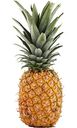 Ананас Tree Ripe, 1шт.