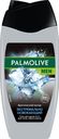 Гель для душа Palmolive Men Арктический ветер 3в1 мужской 250мл