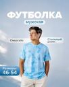 Футболка мужская, в ассортименте