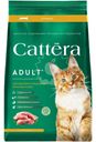 Корм сухой Cattera с курицей полнорационный для взрослых кошек 300г