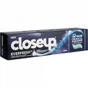 Зубная паста гелевая Closeup Everfresh Леденящий эвкалипт, 100 мл