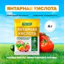 Янтарная кислота, Секрет урожая, 4 г