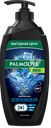 Гель для душа мужской PALMOLIVE Men Северный океан с морскими минералами 3в1, 750мл