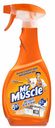 Спрей для кухни 5 в 1 Mr. Muscle Энергия цитруса, 500 мл