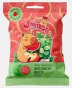 Жевательные конфеты со вкусом Арбузный мохито в глазури Juuums 35г