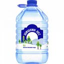 Вода питьевая Шишкин лес негазированная, 5 л