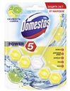 Блок для очищения унитаза Domestos Power 5 Свежесть лайма 495г