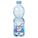 Вода питьевая СЕНЕЖСКАЯ, Минеральная газированная, 500мл