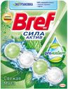 Средство чистящее для унитаза Bref Color Activ Свежая мята 50Г