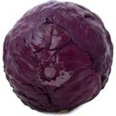 Капуста краснокочанная