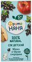 Сок детский ФрутоНяня яблоко-черная смородина осветленный с 5 месяцев 200 мл