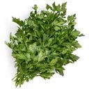 Петрушка Global Village 100г