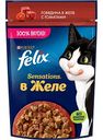 Влажный корм для взрослых кошек Felix Sensations Говядина с томатами в желе, 75 г