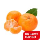 МАНДАРИНЫ, 1кг