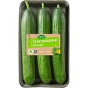 Огурцы гладкие Луховицкие овощи Рост, 600г