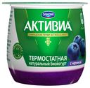 Биойогурт Activia густой термостатный двухслойный Черника 2.7%, 170 г