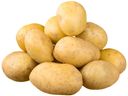 Картофель Новый урожай, 1 кг