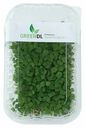 Микрозелень рукколы GreenDL 60 г