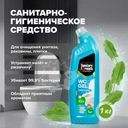 Санитарно-гигиеническое средство "WC gel", Sanitary formula, 1 кг, в ассортименте