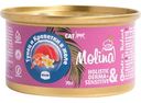 Корм для кошек Molina Тунец и креветки в желе, 70 г