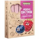 Пастила Galagancha Honey Sweet Pastilla медовая таёжные ягоды, 190г