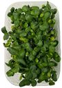 Микрозелень подсолнечника GreenDL 60 г