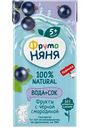 Вода и сок ФрутоНяня фрукты-черная смородина с 5 месяцев, 200мл