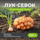 Лук-севок "Штуттгартер ризен", 250 г