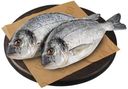 Дорадо, полуфабрикат из замороженного сырья, 1 кг