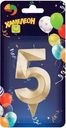 Свеча Хамелеон Грань цифра 5 1шт.